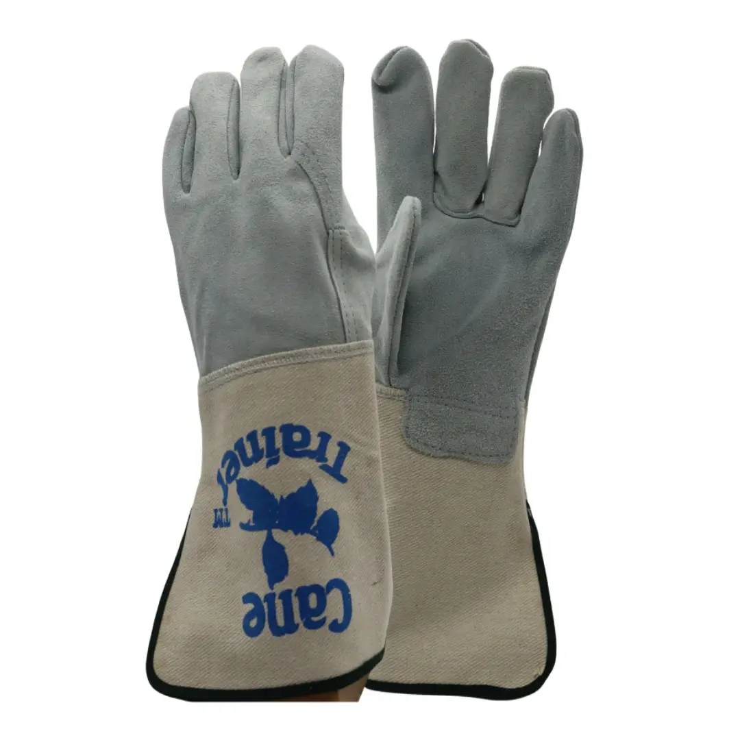 13186CT Cowhide Suede Cane Trainer – Heavyweight Pair | USA Supplier