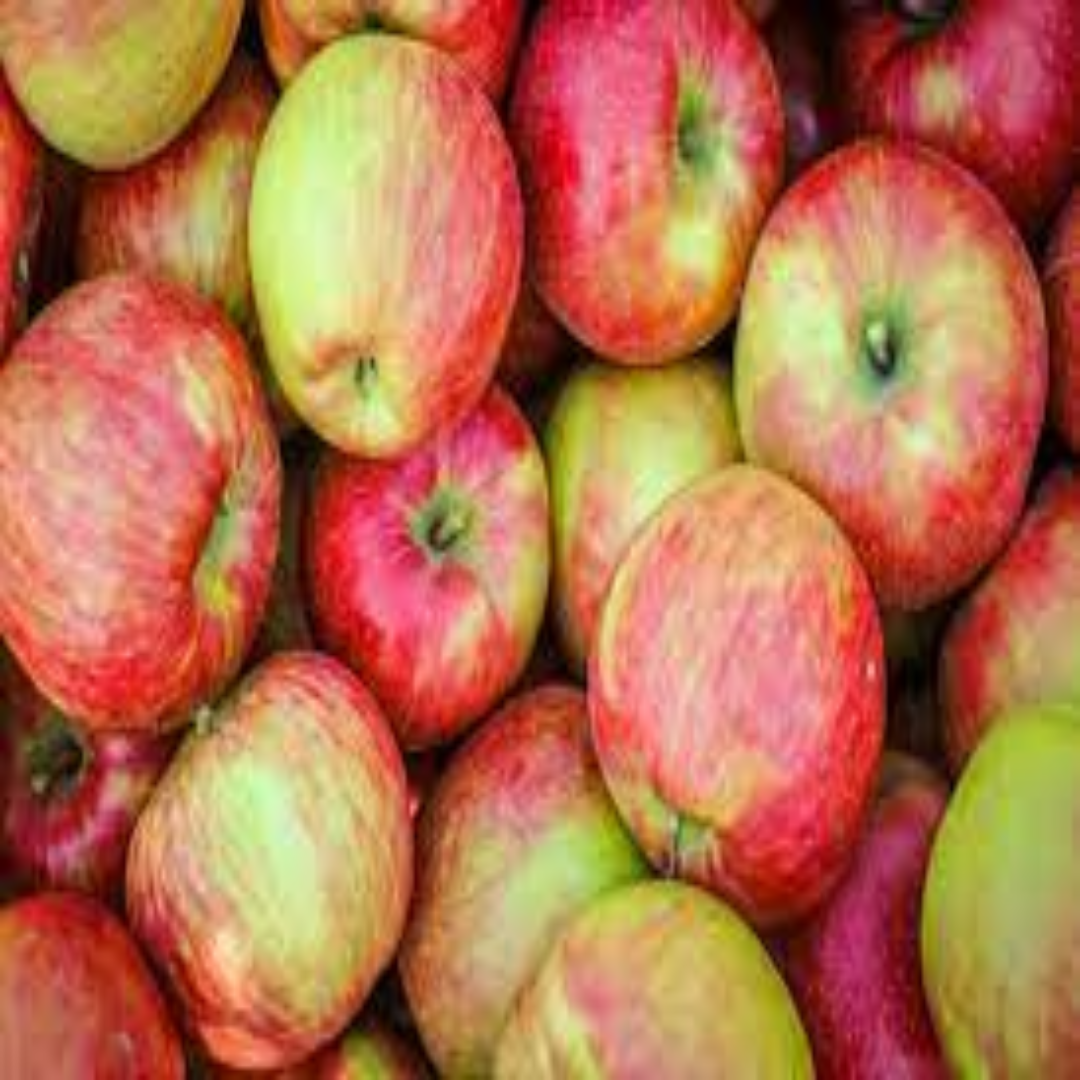 Honeycrisp Apples Distributor For Stores