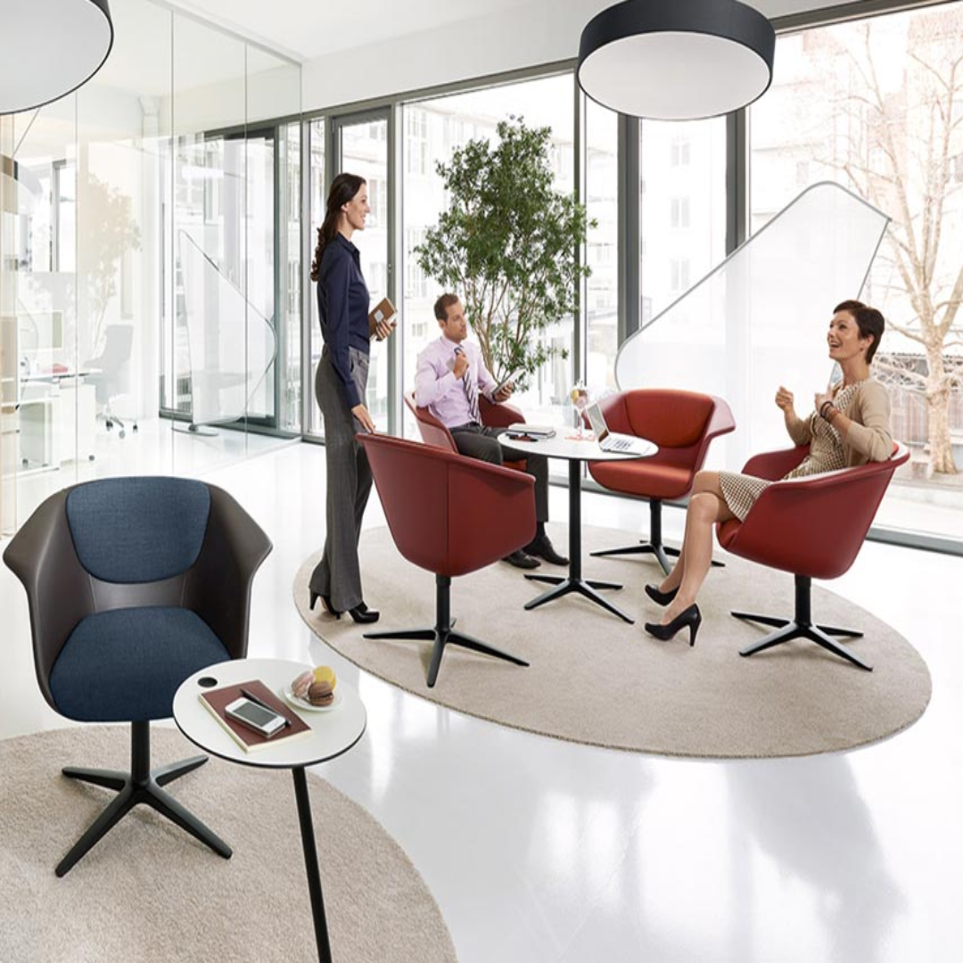 Lounge Chairs Stylish Comfort Furniture Vietnam