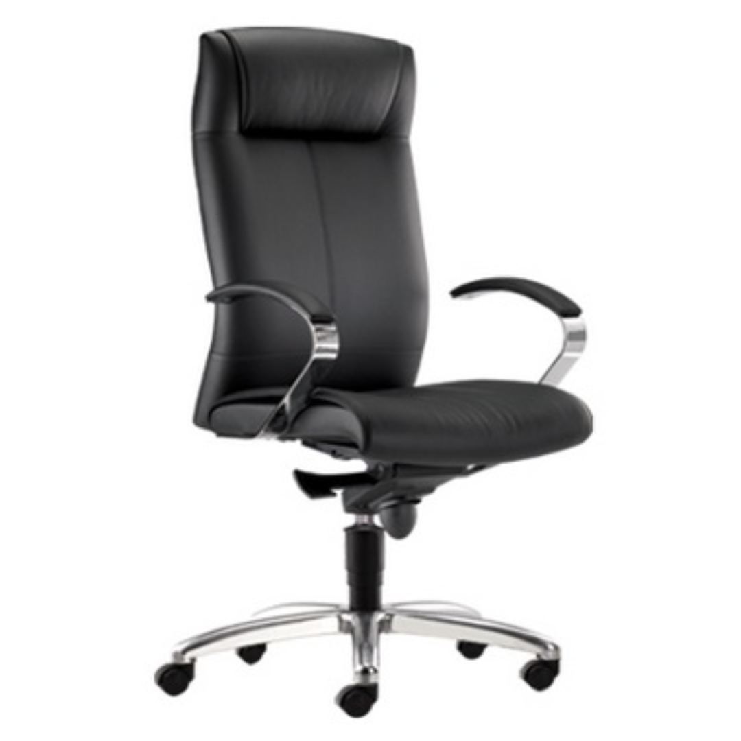 Office Executive Chairs Malaysia Premium Seating