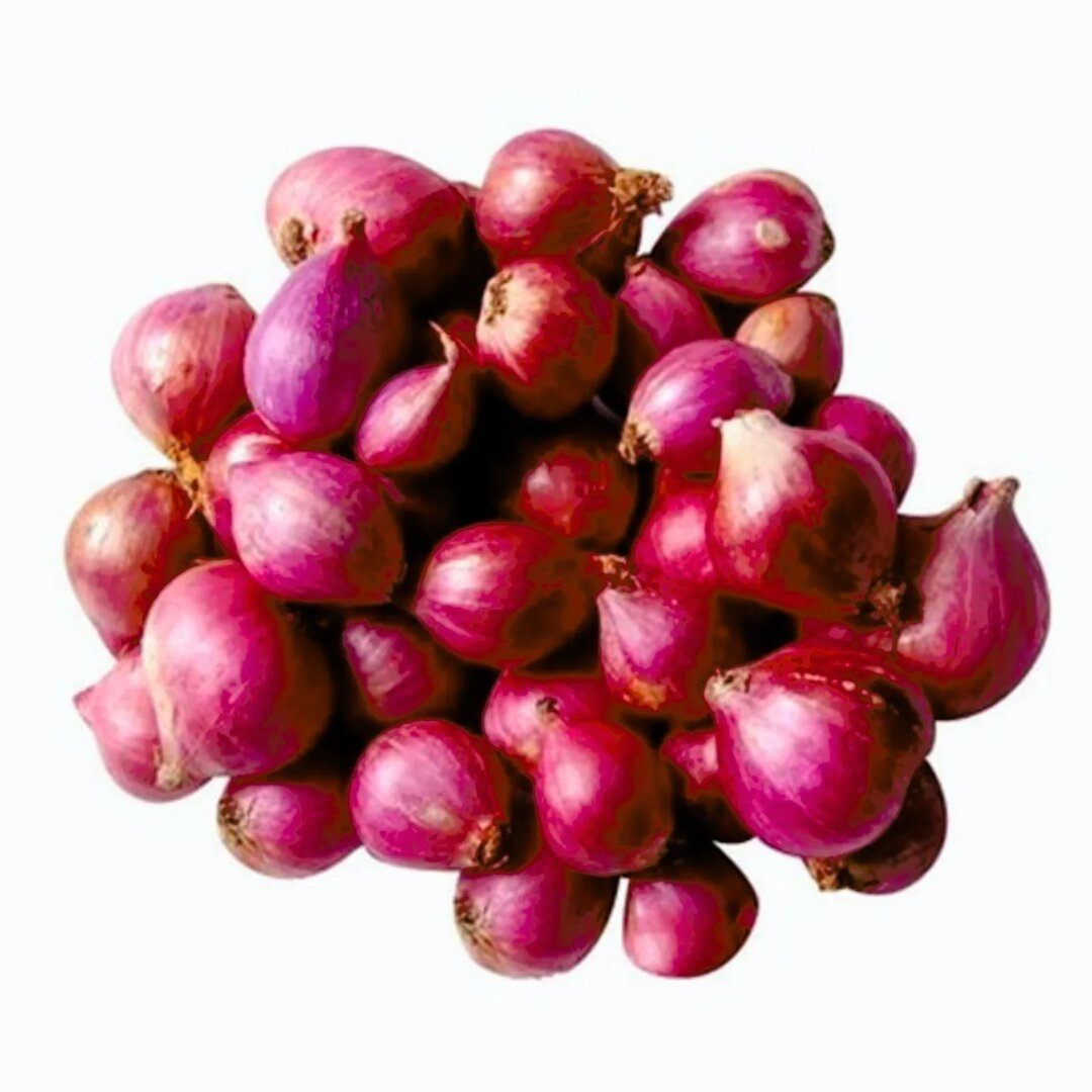 Onion Powder Premium Spice Exporter India