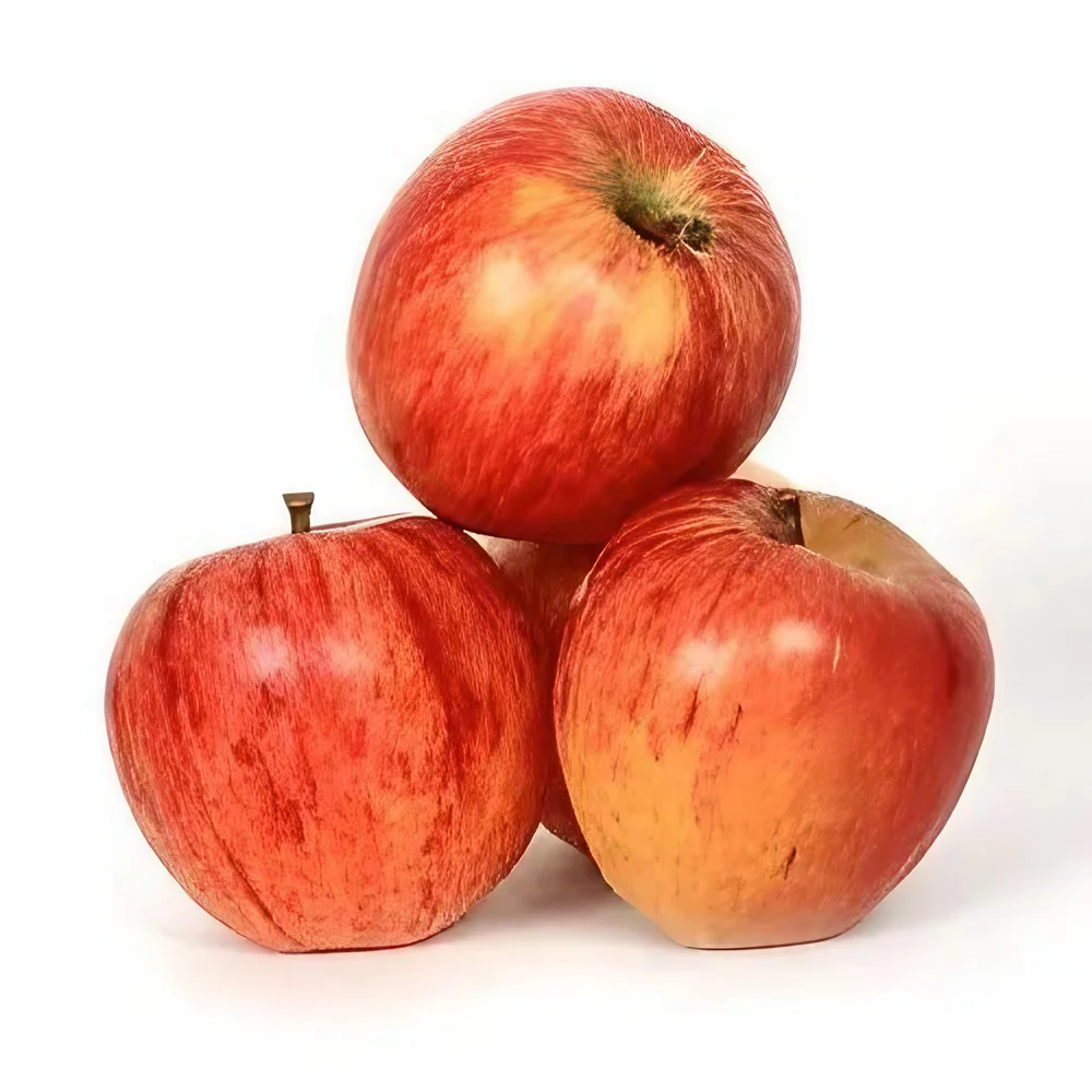 Wholesale Kullu Apple, Supplier from India